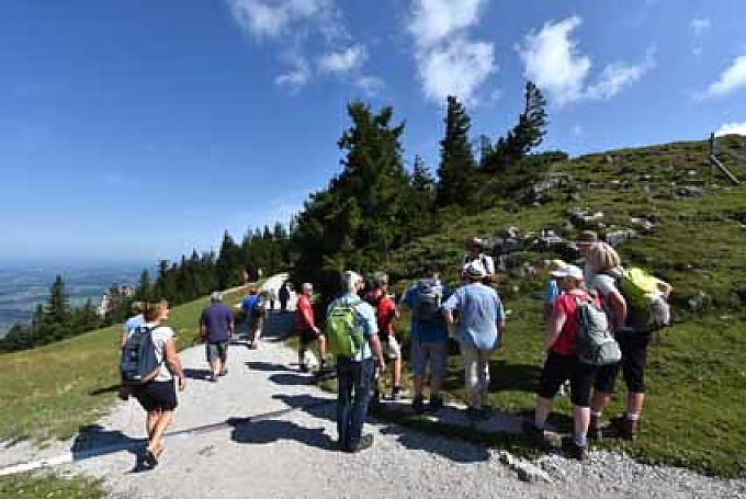 Bergblumen und Berggeschichten