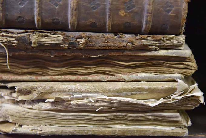 Schatzkammer im Hinterhaus