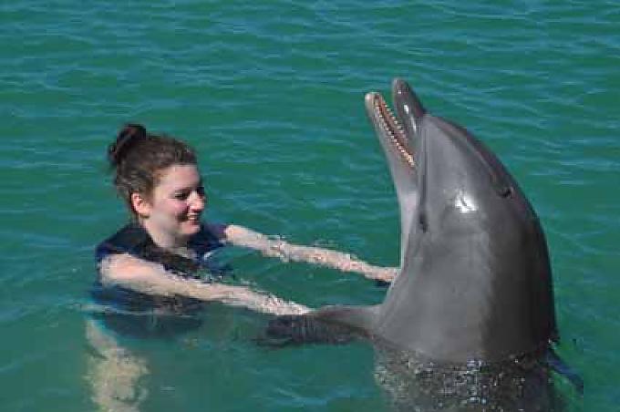 Delfin-Begegnung in Hawks Cay
