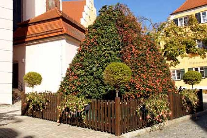 Bunte Pracht im Altmühltal