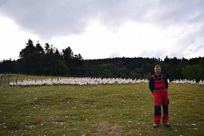 Alles Gute von Gans und Pute