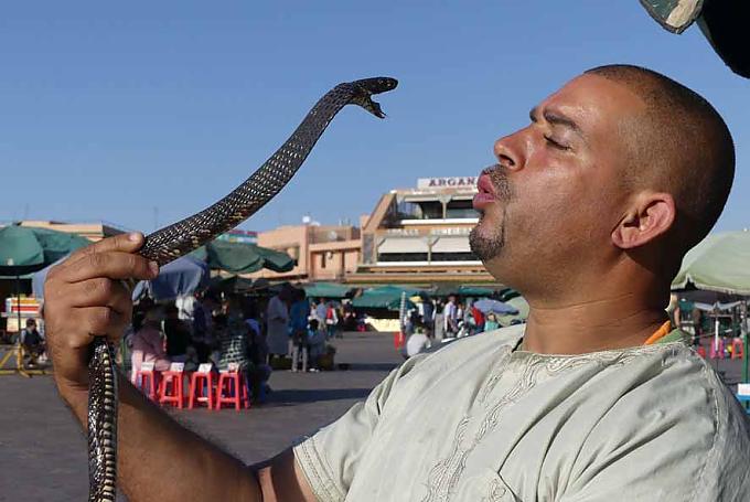 Schlangenbeschwörer auf dem Djemaa el Fna