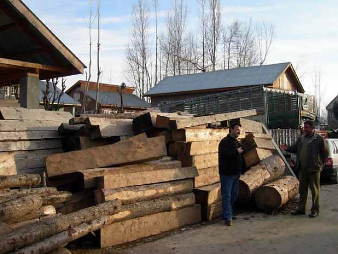 Kaschmirs Wälder in Gefahr 