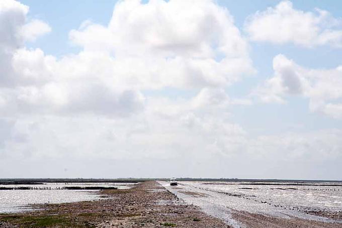 Nur bei Ebbe befahrbar: der Låningsvej zwischen dem Festland und Mandø