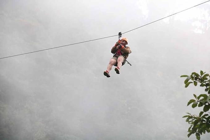 Balkon unter Baumwipfeln