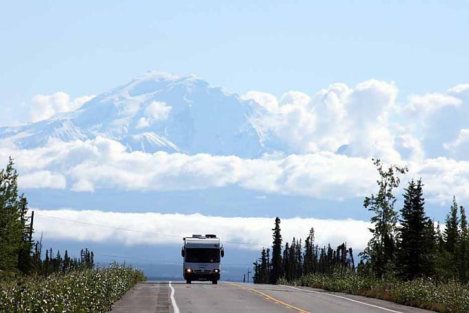 Wo die wilden Tiere wohnen