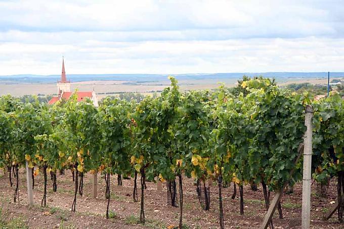 Der bemalte Weinkeller in Satov