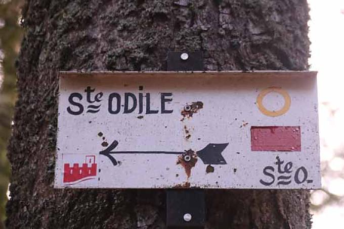 Wandern und Pilgern am Odilienberg