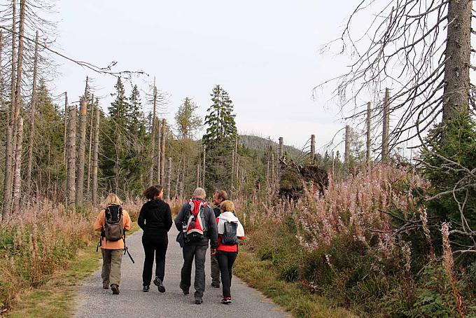 Geheimnisvoll und melancholisch: Pilgern im Böhmerwald