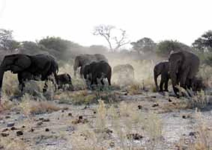 Von einer Reise ins Land ohne Wasser