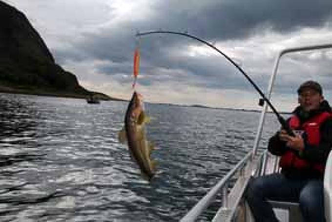 Der Pier am Hafen von Bodø