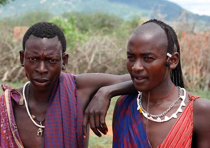 Safari für Einsteiger