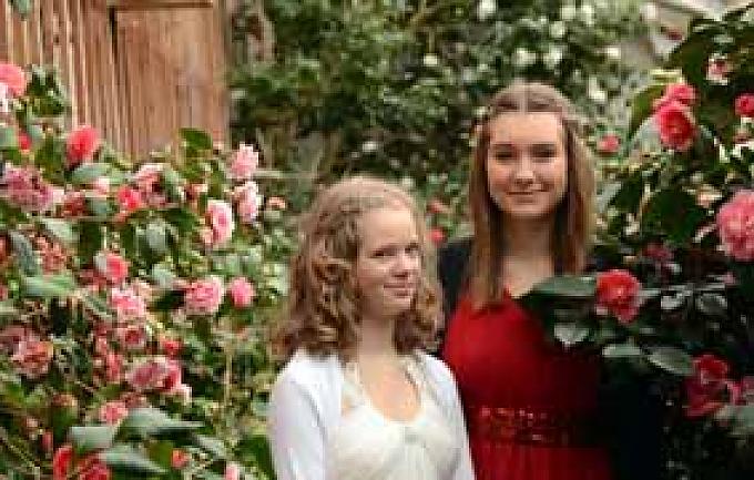 Kamelie im Kamelienhaus in Königsbrück