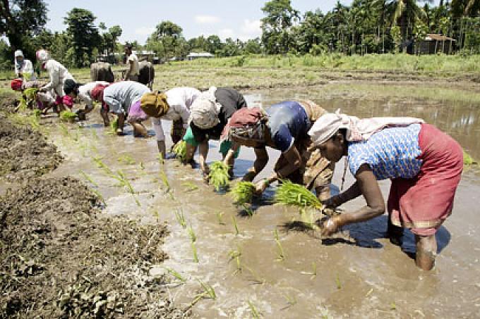 Versöhnung statt Rache