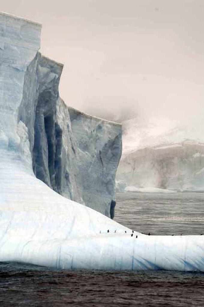 Eisberge am Point Wild in der Antarktis