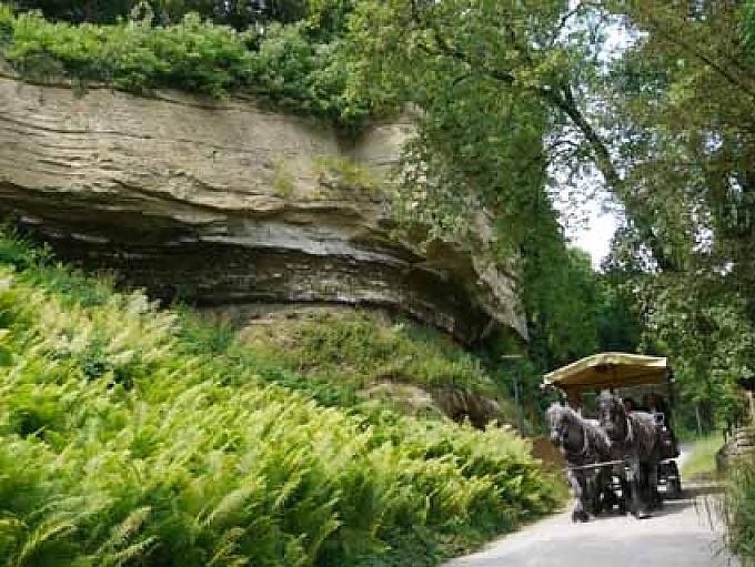 Weicher Rücken – starkes Gemüt