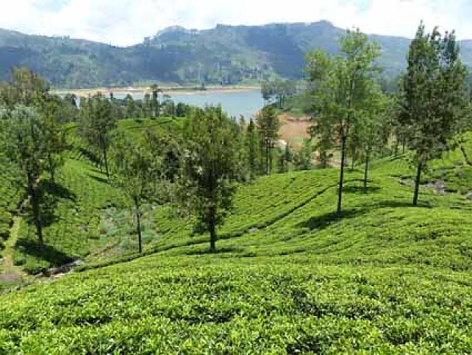 Wiedererwachtes Ceylon