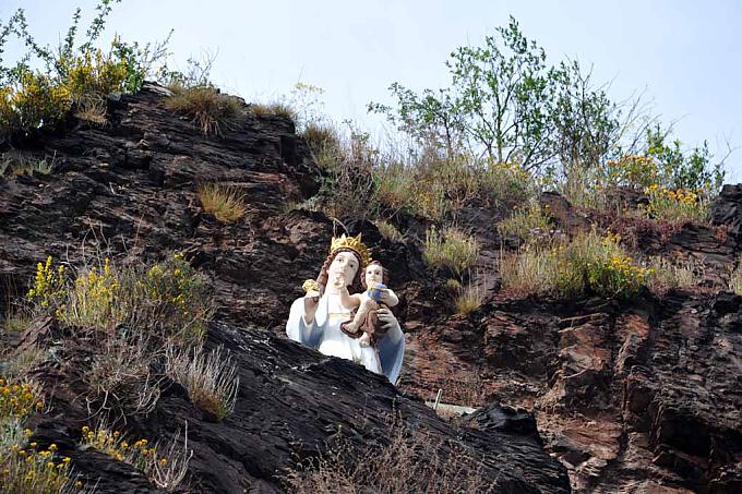 Wandern, wo der Wein wächst