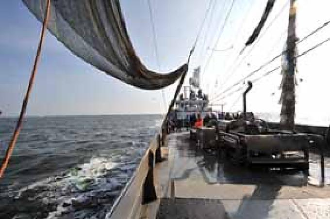 Wer schneller pult, ist früher satt