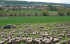 Riesling unter der Himmelsscheibe