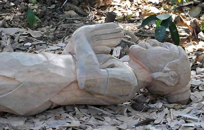 Nicht auf dem Holzweg