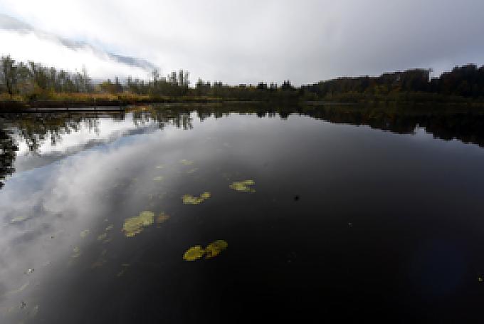 Heiliger Ort, heilende Quelle