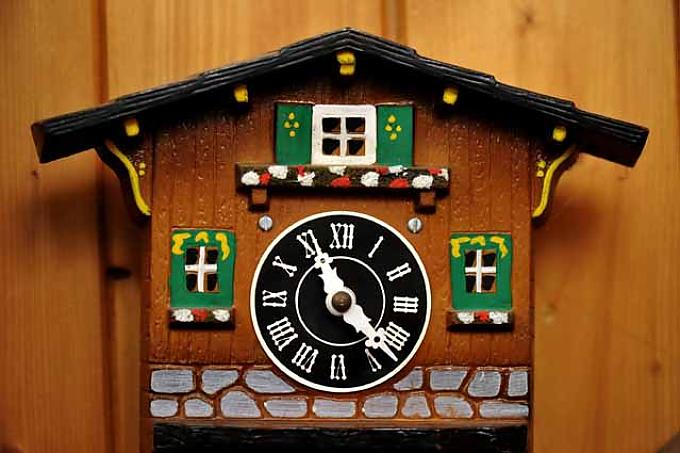 „Kuckuck, Kuckuck!“, ruft’s aus dem Harz