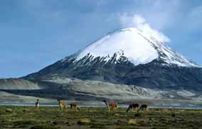 Parina Kota in Chile.