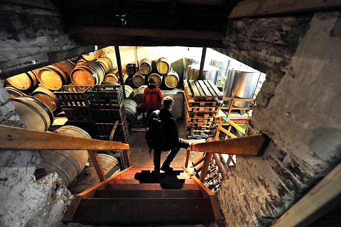 Wo Spinnweben heilig sind