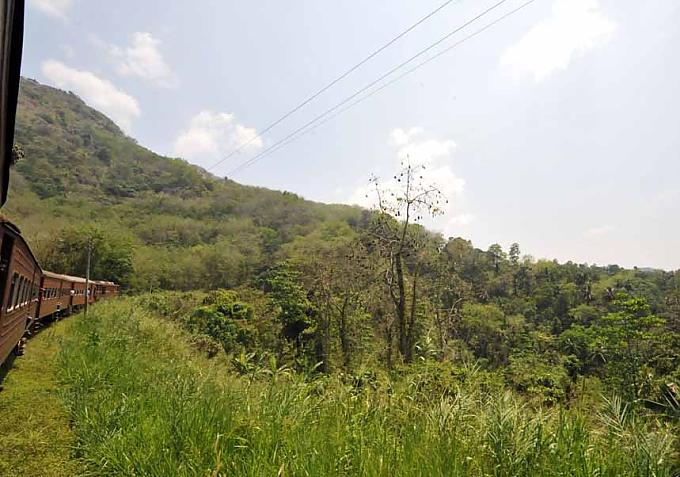 Die Entdeckung der Gemächlichkeit