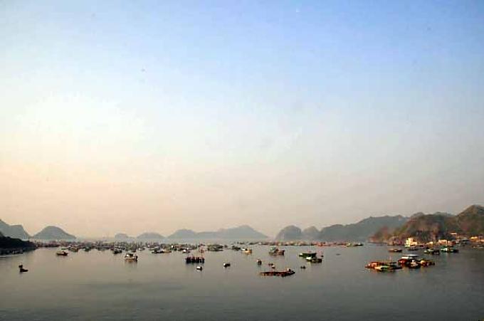 Hafen von Cat Ba 