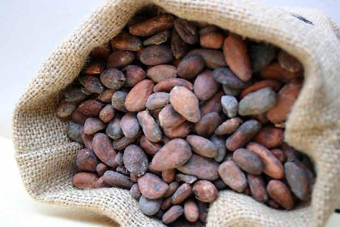 Köstliche Kreationen aus der Confiserie des „Maître pralinés“