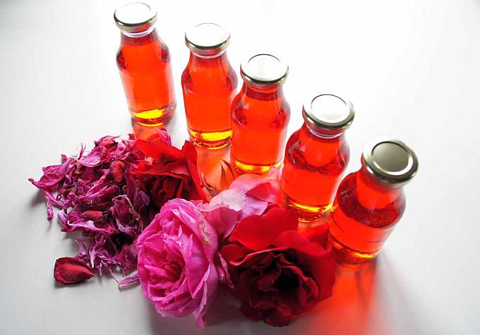 Wissen von gestern für Menschen von heute