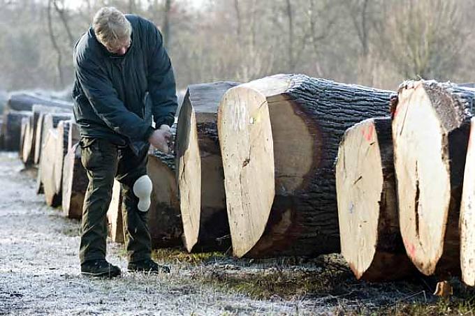 Zum Ersten, zum Zweiten, zum Dritten.