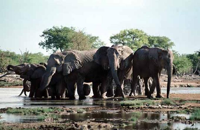 Schillernde Vielfalt der Natur