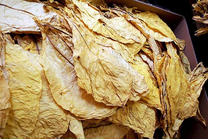 Bayerischer Tabak für orientalische Wasserpfeifen