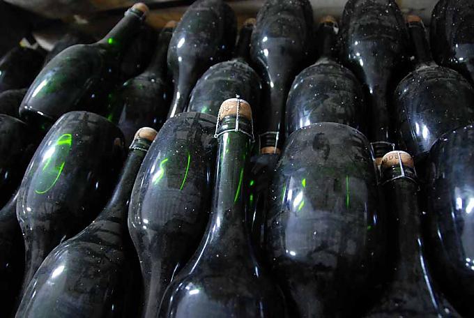 Der Stolz der Kellergeister