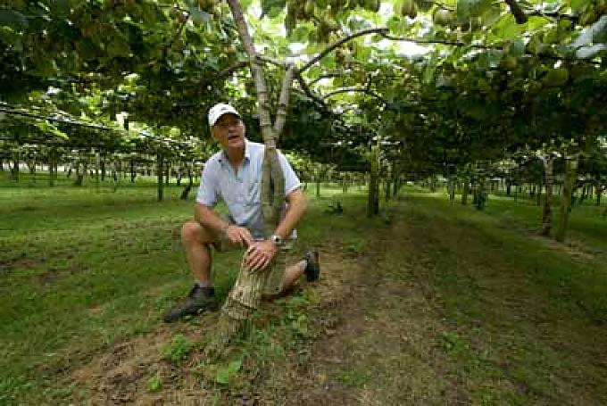 Robert in seiner Plantage.