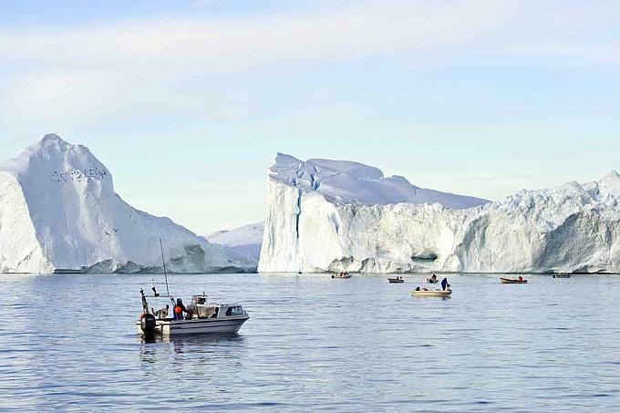 Heilbutt oder Walfleisch? 