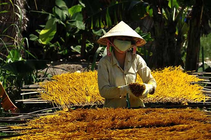 Der Duft, der eine Zukunft verheißt