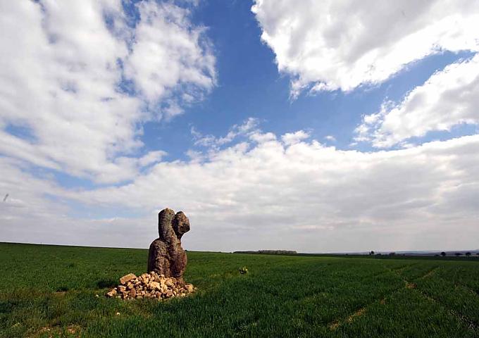 Wo der Frieden steinerne Blüten trägt