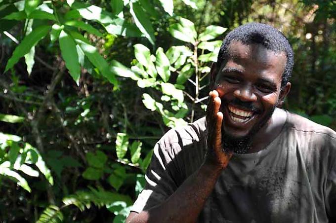 Korbbau statt Raubbau oder: Die Leute von Cheju