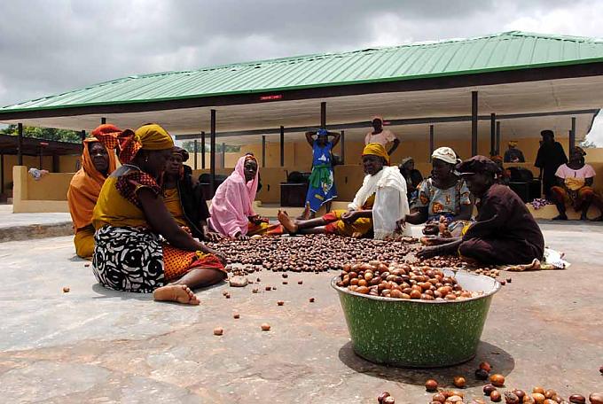 Alleskönner Sheabutter