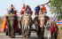 WG mit Elefant