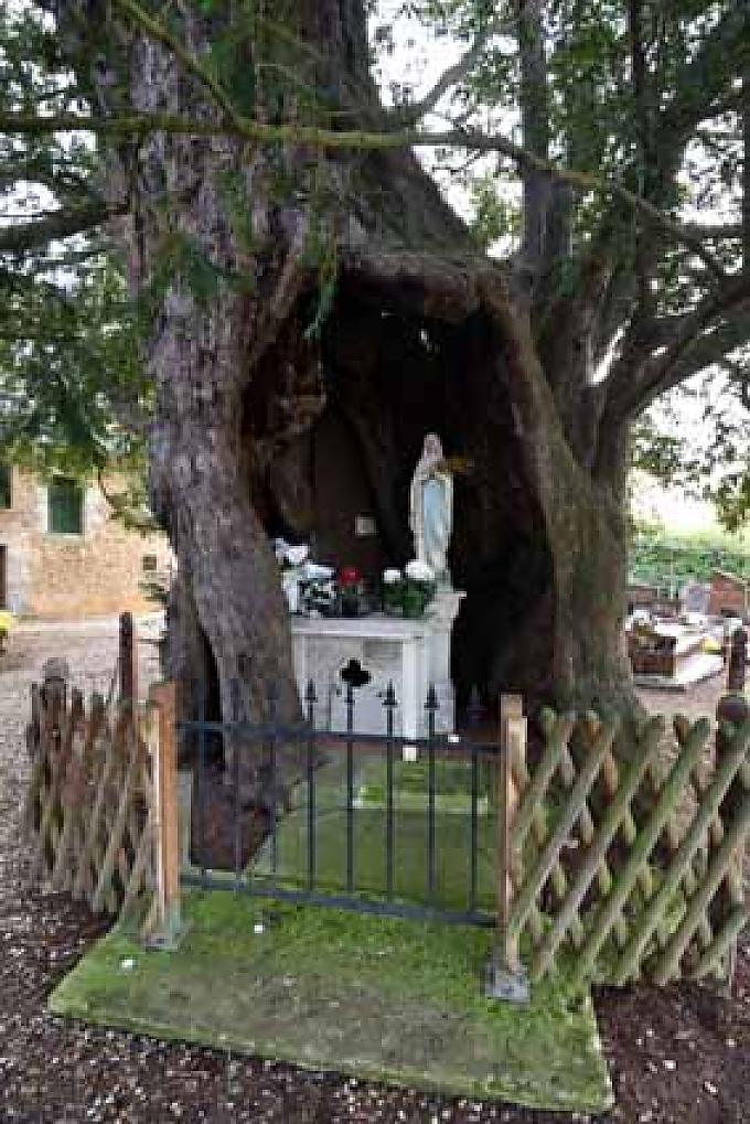Zwei Touristen stehen vor dem Marienaltar in der Baumkapelle in La Haye-du-Routot 