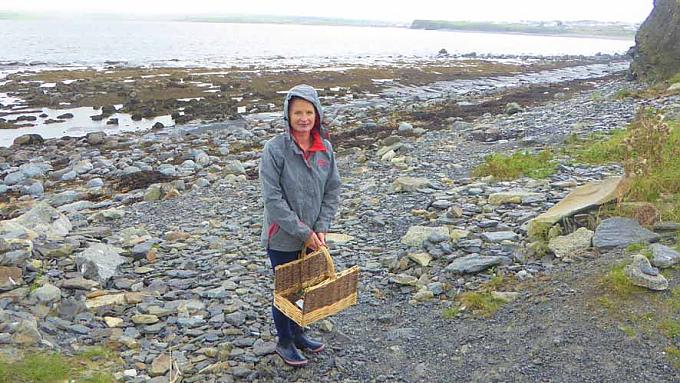 Oonagh O’Dwyer sammelt Seetang in der Bucht von Lahinch. An der irischen Westküste gedeiht Seetang besonders gut.