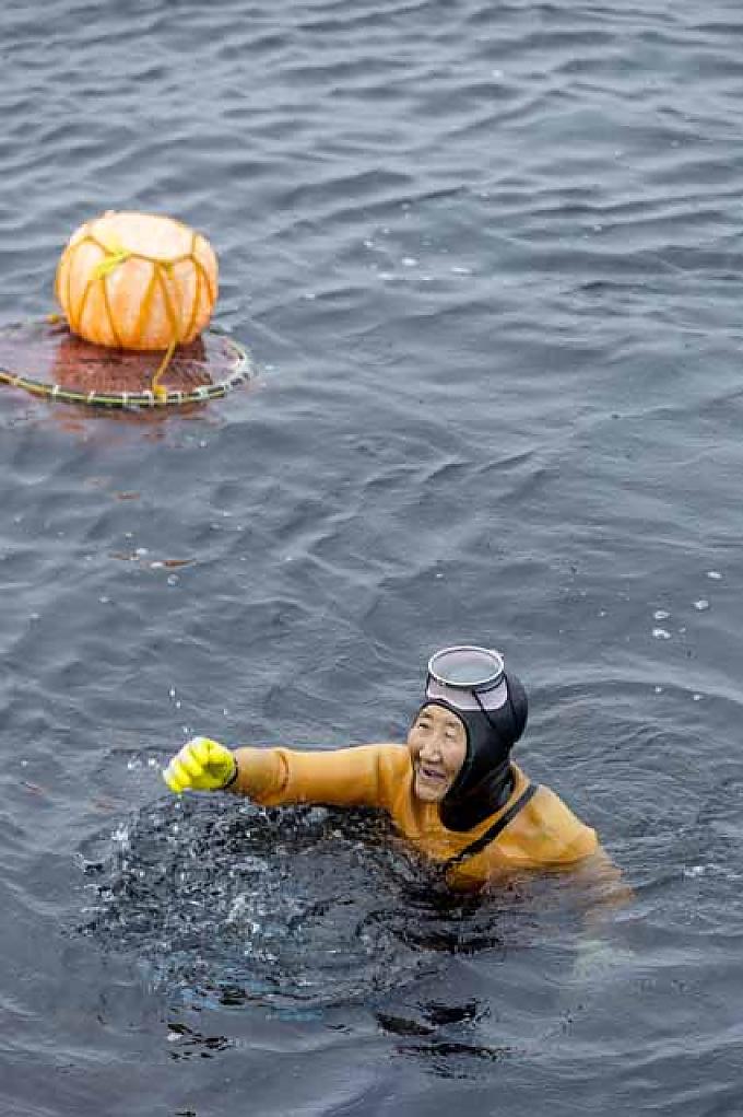 Taucherinnen tauchen nach Algen Taucherin Gwangja Jang (74)