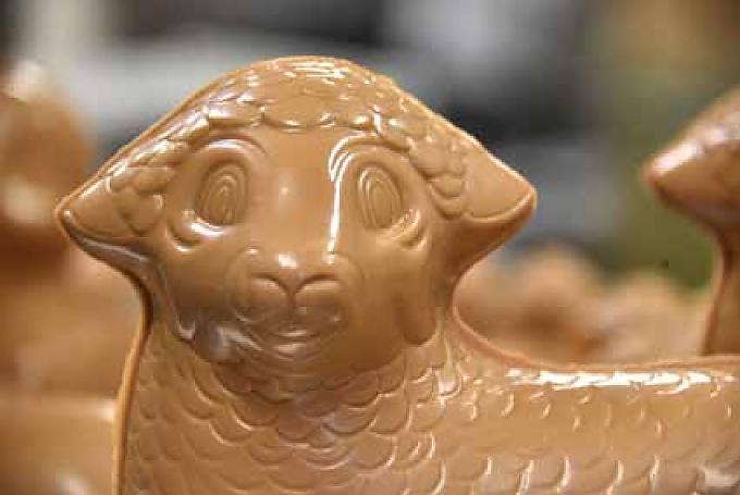 Schokoladenschaf Schokoladenschaf