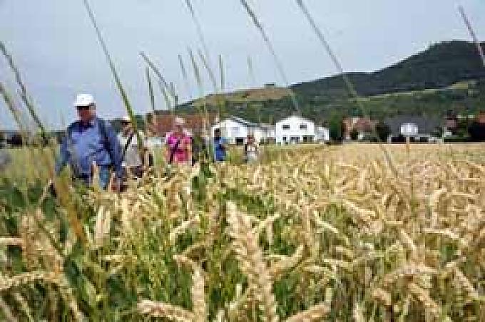 Wanderer auf dem Whisky Walk Wanderer auf dem Whisky Walk