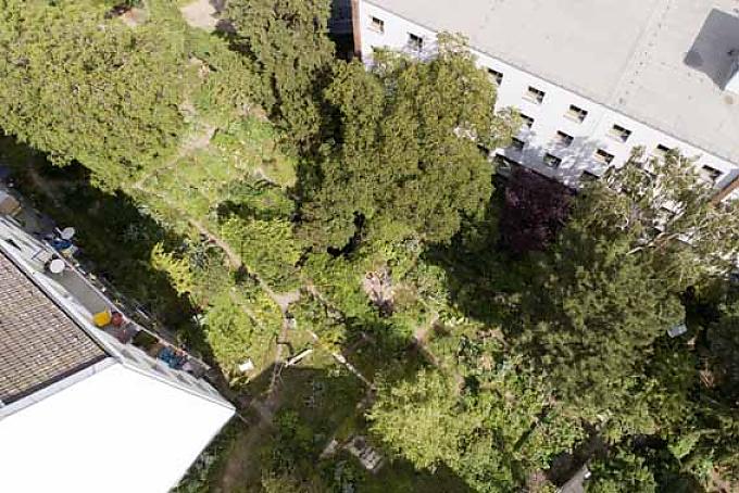 Den Garten essen Den Garten essen